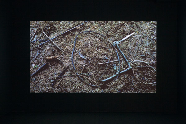  Willie Doherty: BURIED, 2009, single-screen installation (colour, sound), duration 8 minutes, installation shot, Alexander and Bonin; photo Joerg Lohse